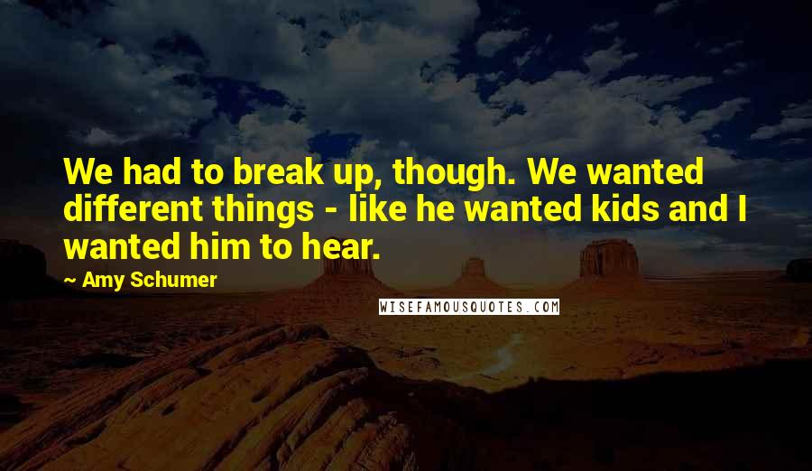 Amy Schumer quotes: We had to break up, though. We wanted different things - like he wanted kids and I wanted him to hear. Amy Schumer quotes: We had to break up, though. We wanted different things - like he wanted kids and I wanted him to hear.