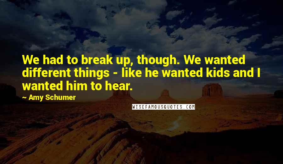 Amy Schumer quotes: We had to break up, though. We wanted different things - like he wanted kids and I wanted him to hear.