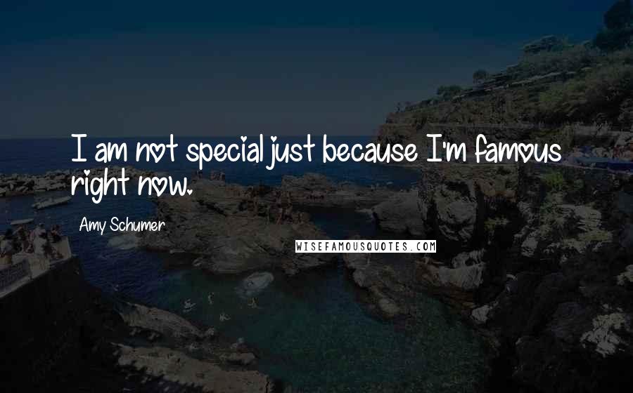 Amy Schumer quotes: I am not special just because I'm famous right now.