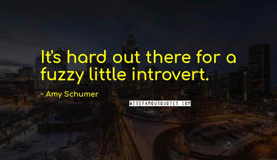 Amy Schumer quotes: It's hard out there for a fuzzy little introvert.
