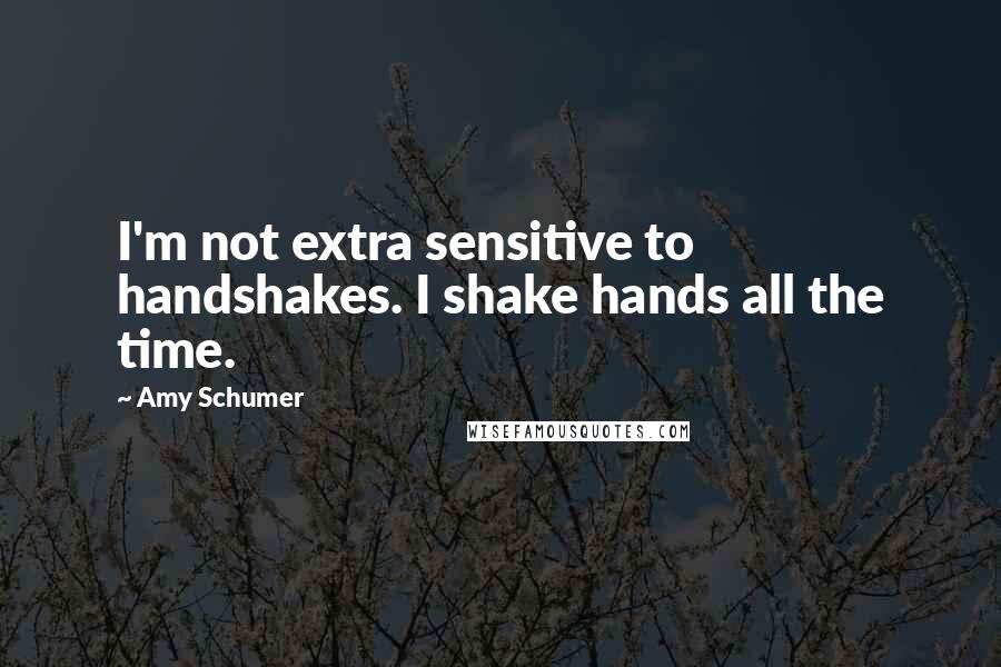 Amy Schumer quotes: I'm not extra sensitive to handshakes. I shake hands all the time.