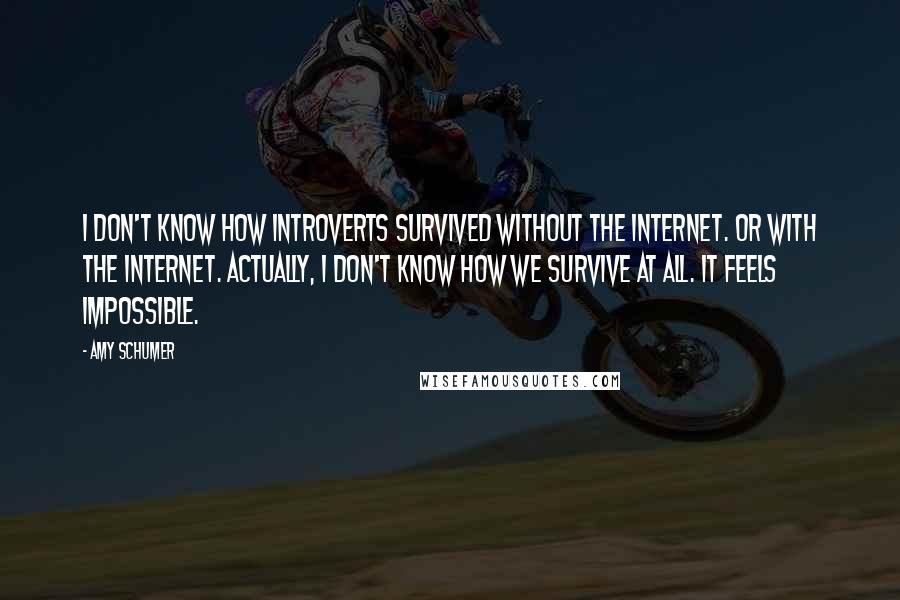 Amy Schumer quotes: I don't know how introverts survived without the Internet. Or with the Internet. Actually, I don't know how we survive at all. It feels impossible.