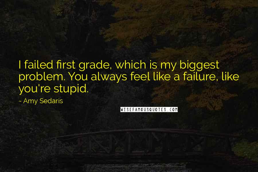 Amy Sedaris quotes: I failed first grade, which is my biggest problem. You always feel like a failure, like you're stupid.