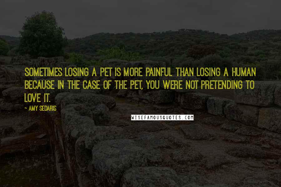 Amy Sedaris quotes: Sometimes losing a pet is more painful than losing a human because in the case of the pet, you were not pretending to love it.