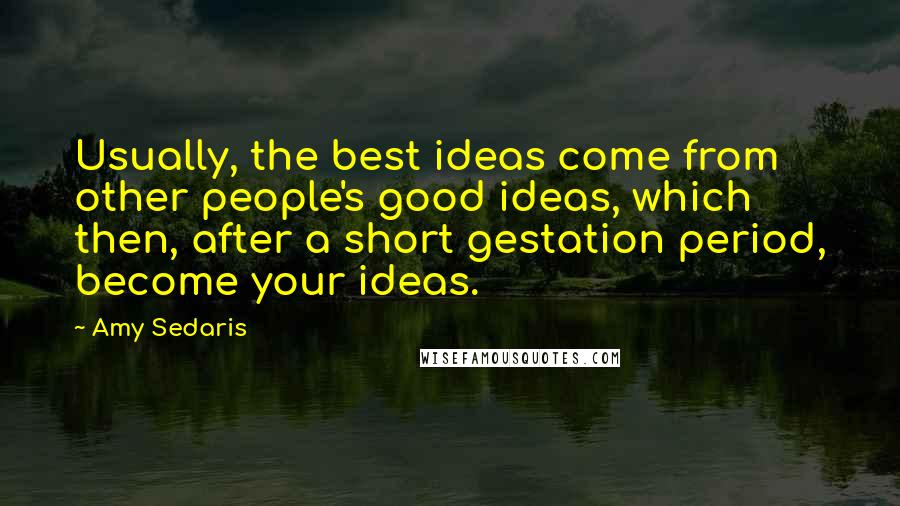 Amy Sedaris quotes: Usually, the best ideas come from other people's good ideas, which then, after a short gestation period, become your ideas.