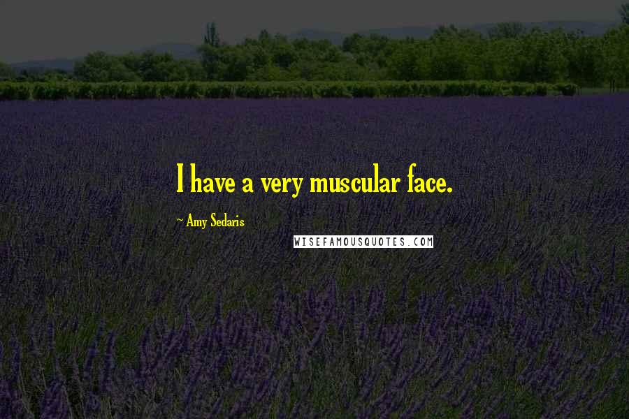 Amy Sedaris quotes: I have a very muscular face.