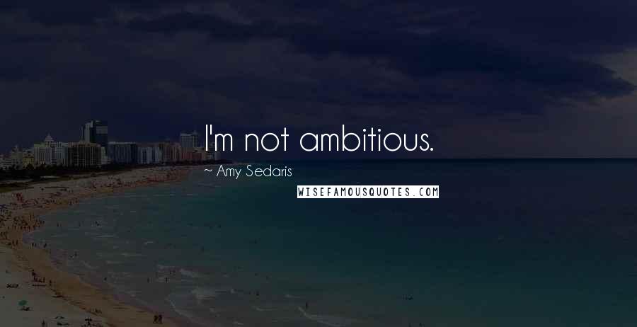 Amy Sedaris quotes: I'm not ambitious.