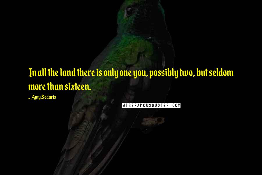 Amy Sedaris quotes: In all the land there is only one you, possibly two, but seldom more than sixteen.