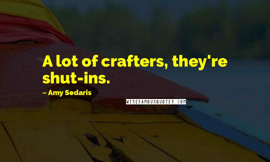 Amy Sedaris quotes: A lot of crafters, they're shut-ins.