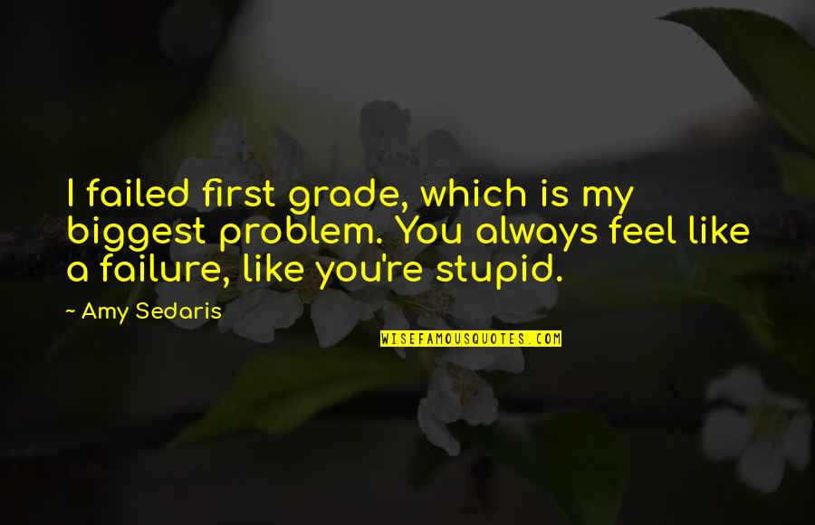 Amy Sedaris Quotes By Amy Sedaris: I failed first grade, which is my biggest