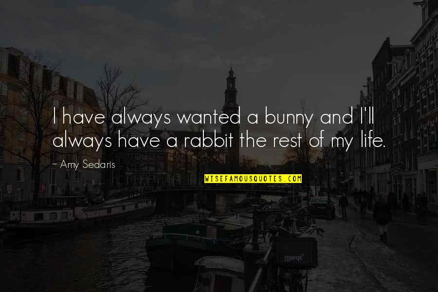 Amy Sedaris Quotes By Amy Sedaris: I have always wanted a bunny and I'll