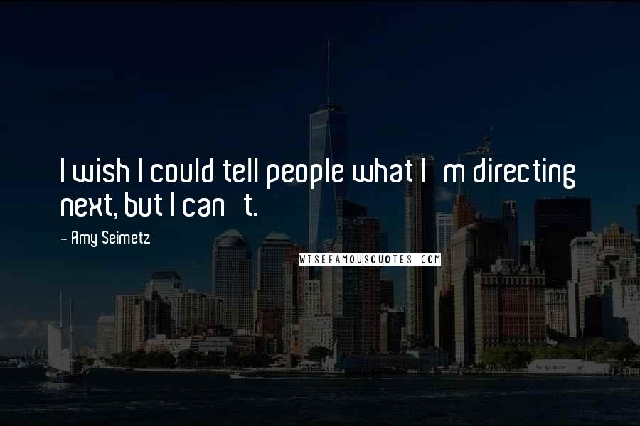 Amy Seimetz quotes: I wish I could tell people what I'm directing next, but I can't.