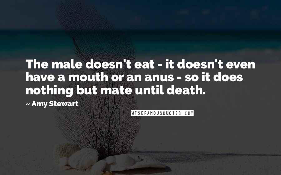 Amy Stewart quotes: The male doesn't eat - it doesn't even have a mouth or an anus - so it does nothing but mate until death. Amy Stewart quotes: The male doesn't eat - it doesn't even have a mouth or an anus - so it does nothing but mate until death.