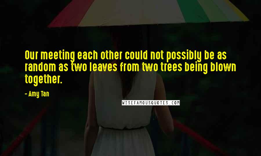 Amy Tan quotes: Our meeting each other could not possibly be as random as two leaves from two trees being blown together.