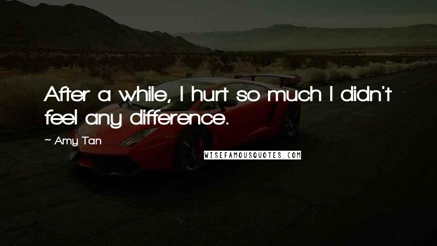 Amy Tan quotes: After a while, I hurt so much I didn't feel any difference.