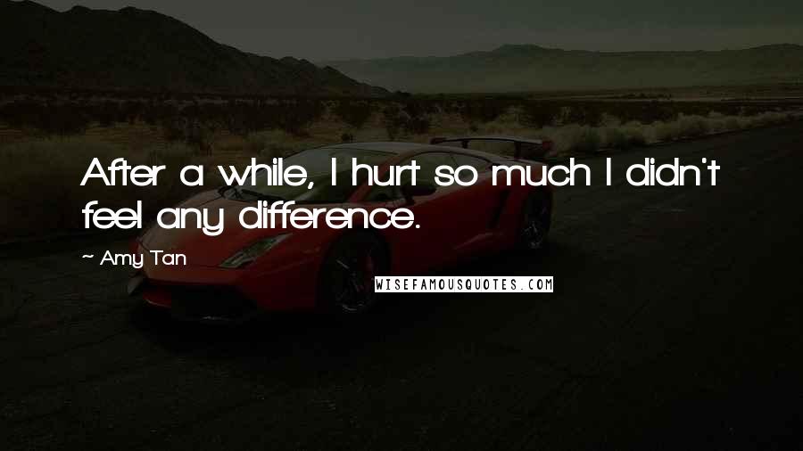 Amy Tan quotes: After a while, I hurt so much I didn't feel any difference. Amy Tan quotes: After a while, I hurt so much I didn't feel any difference.