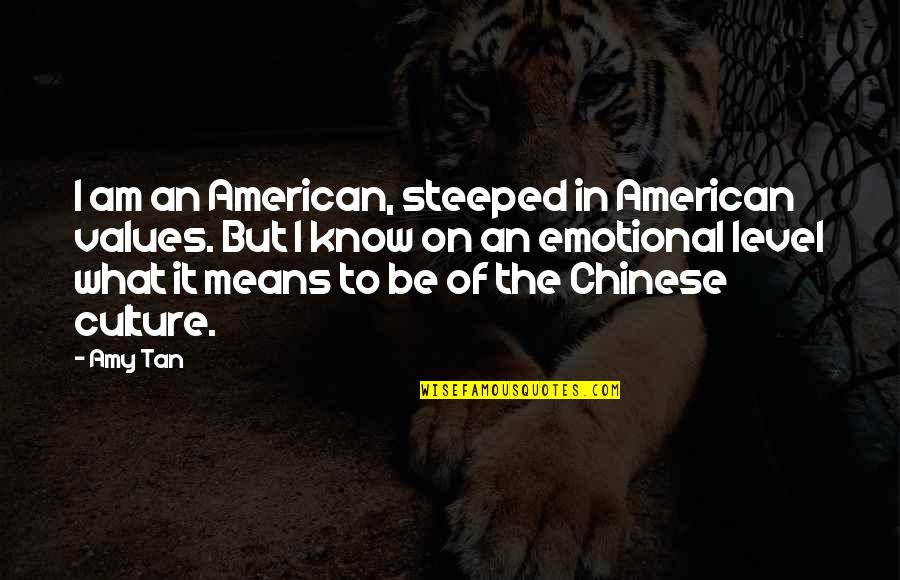 Amy Tan Quotes By Amy Tan: I am an American, steeped in American values.