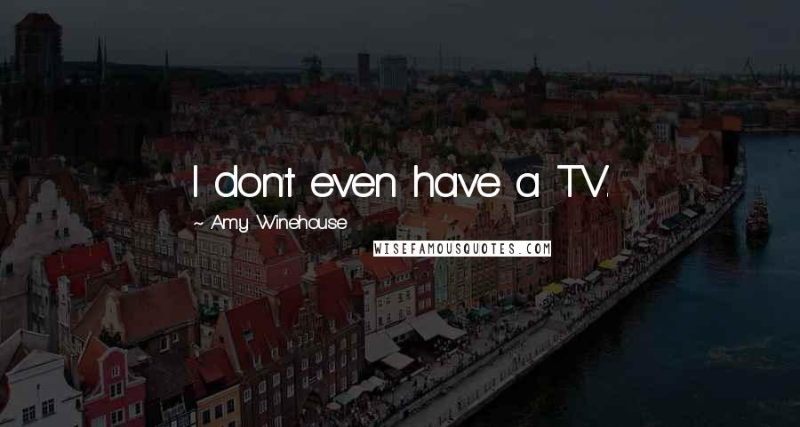 Amy Winehouse quotes: I don't even have a TV.