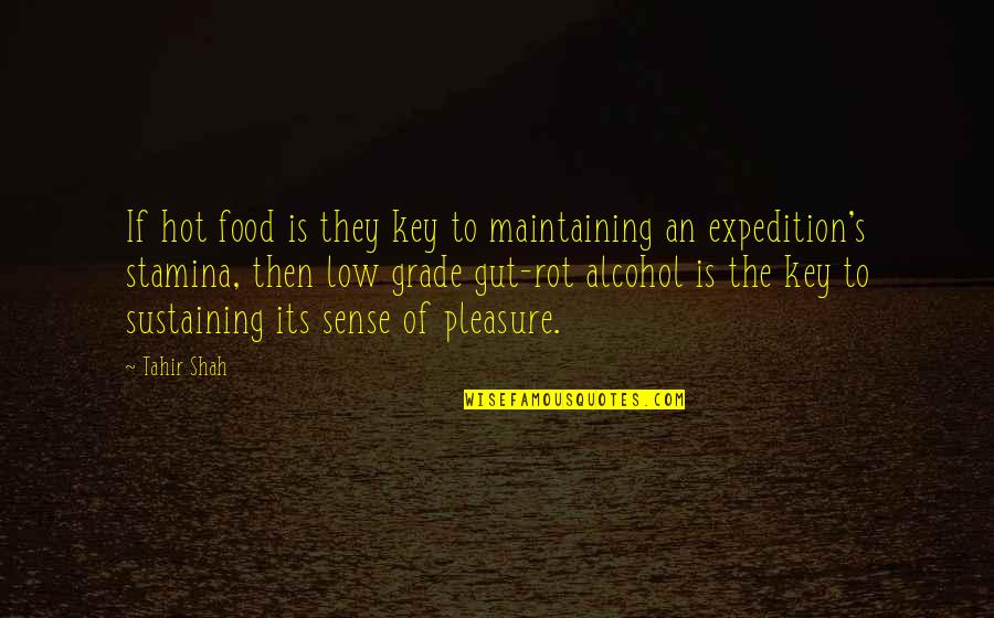 An Adventure Quotes By Tahir Shah: If hot food is they key to maintaining
