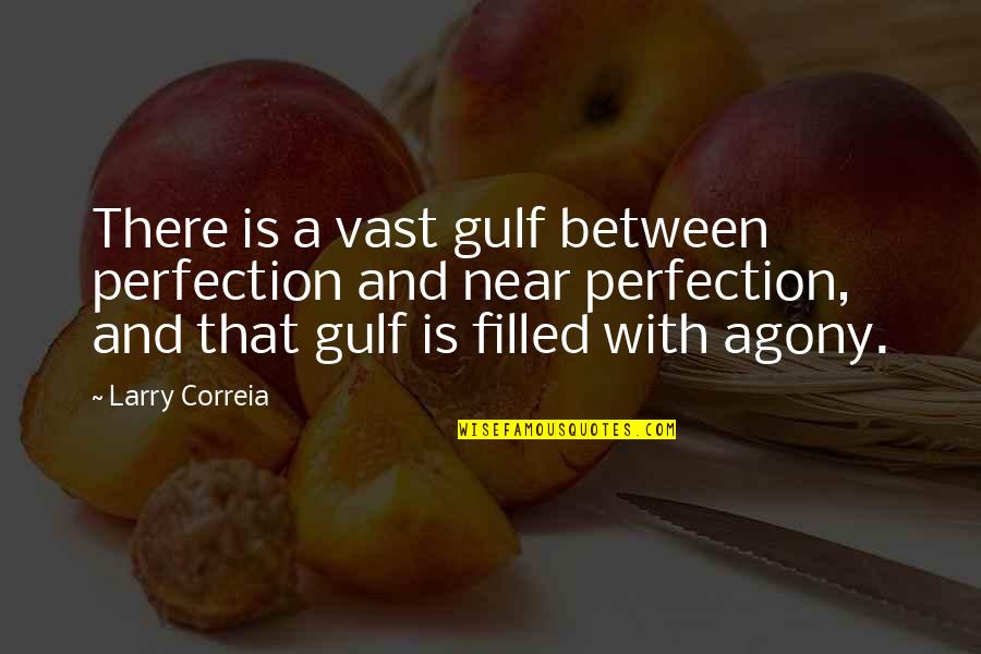 An Agony As Now Quotes By Larry Correia: There is a vast gulf between perfection and An Agony As Now Quotes By Larry Correia: There is a vast gulf between perfection and