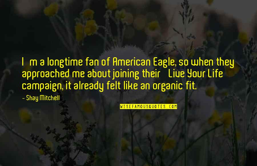 An American Life Quotes By Shay Mitchell: I'm a longtime fan of American Eagle, so