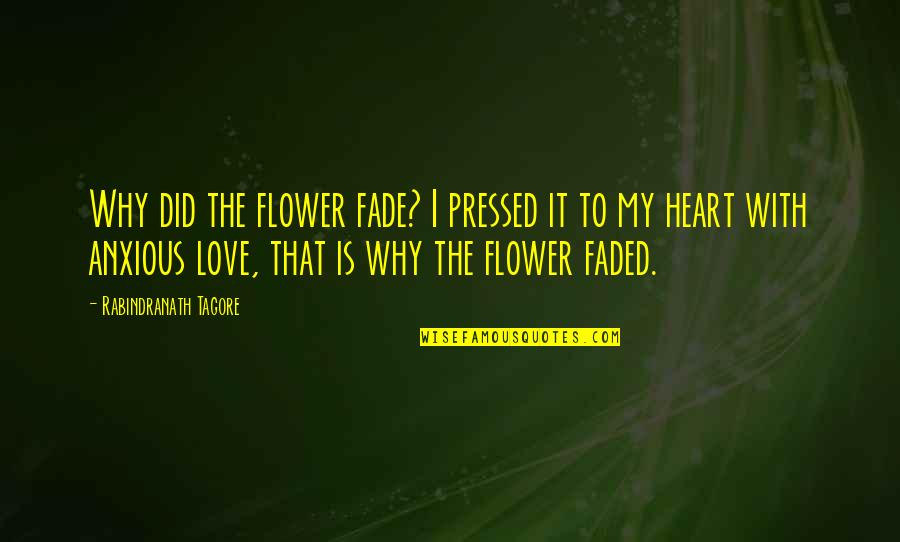 An Anxious Heart Quotes By Rabindranath Tagore: Why did the flower fade? I pressed it An Anxious Heart Quotes By Rabindranath Tagore: Why did the flower fade? I pressed it