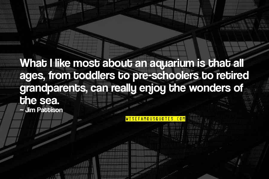 An Aquarium Quotes By Jim Pattison: What I like most about an aquarium is