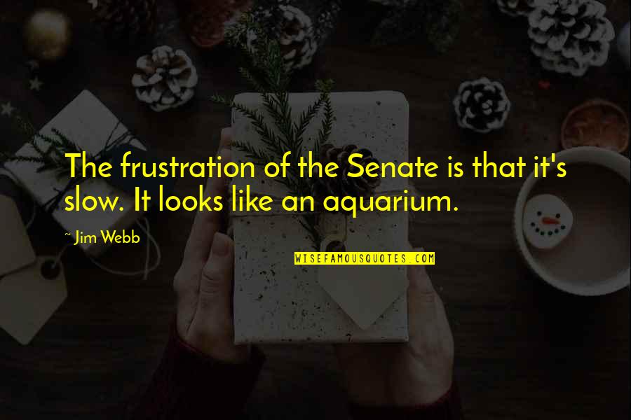An Aquarium Quotes By Jim Webb: The frustration of the Senate is that it's