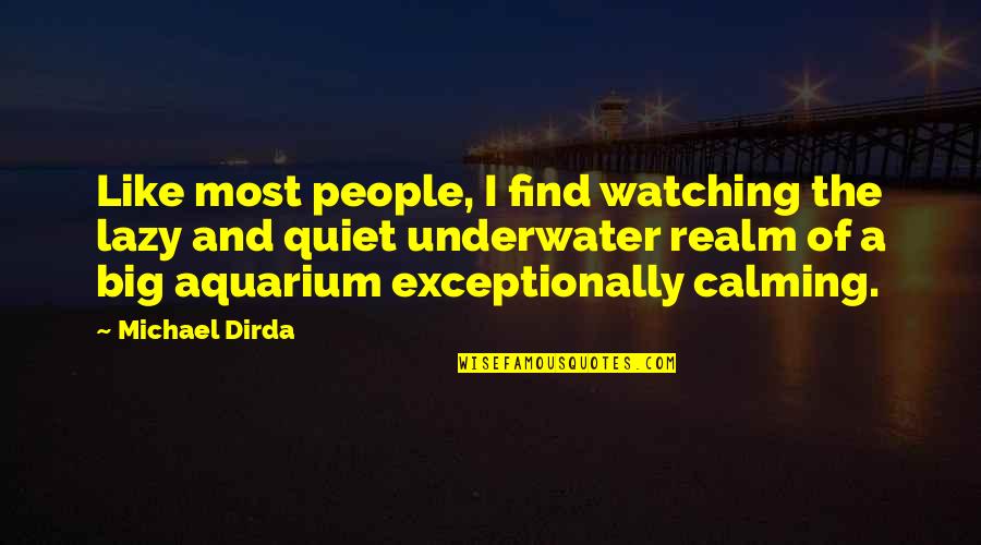 An Aquarium Quotes By Michael Dirda: Like most people, I find watching the lazy