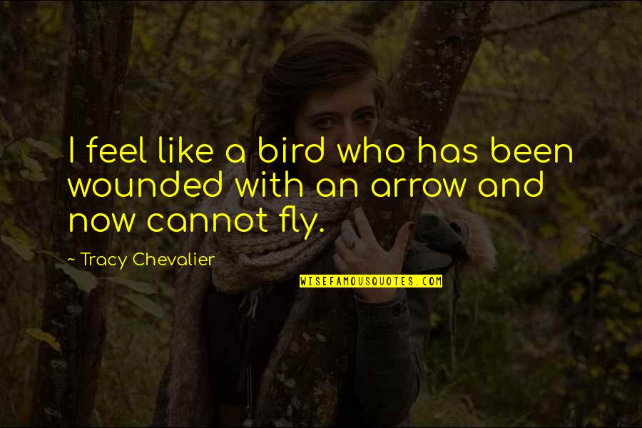 An Arrow Quotes By Tracy Chevalier: I feel like a bird who has been