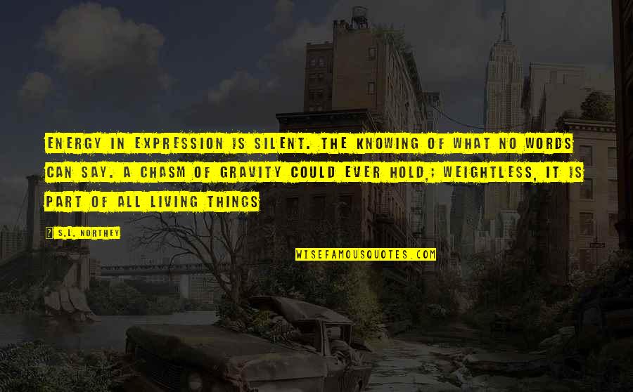 An Chasm Quotes By S.L. Northey: Energy in expression is silent. The knowing of