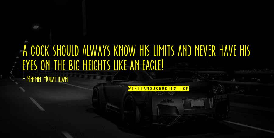 An Eagle Quotes By Mehmet Murat Ildan: A cock should always know his limits and An Eagle Quotes By Mehmet Murat Ildan: A cock should always know his limits and