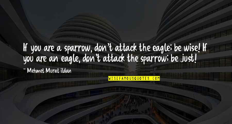 An Eagle Quotes By Mehmet Murat Ildan: If you are a sparrow, don't attack the An Eagle Quotes By Mehmet Murat Ildan: If you are a sparrow, don't attack the