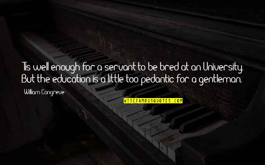 An Education Quotes By William Congreve: 'Tis well enough for a servant to be An Education Quotes By William Congreve: 'Tis well enough for a servant to be