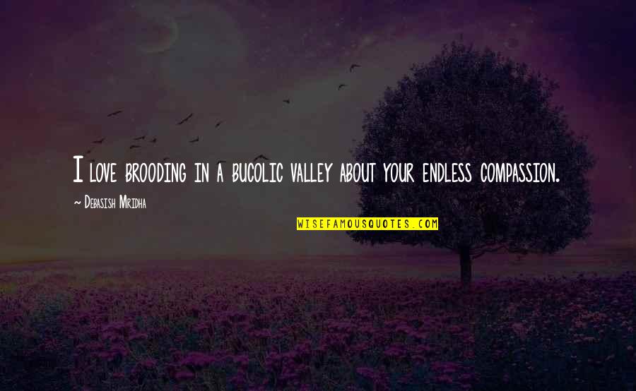 An Endless Love Quotes By Debasish Mridha: I love brooding in a bucolic valley about
