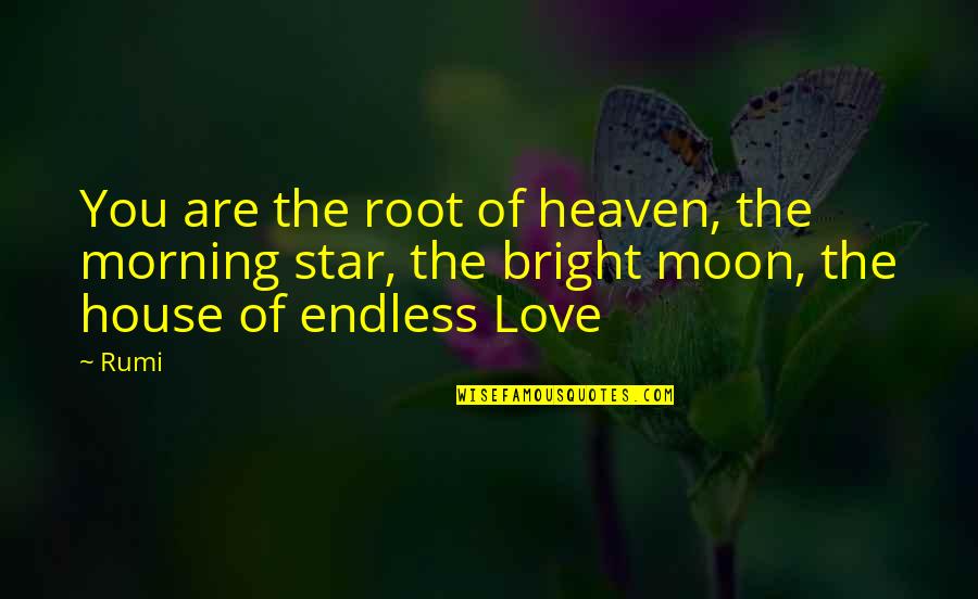 An Endless Love Quotes By Rumi: You are the root of heaven, the morning