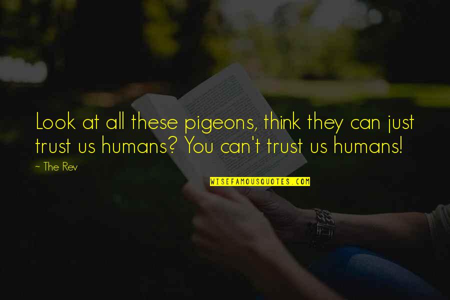 An Ideal Society Quotes By The Rev: Look at all these pigeons, think they can An Ideal Society Quotes By The Rev: Look at all these pigeons, think they can