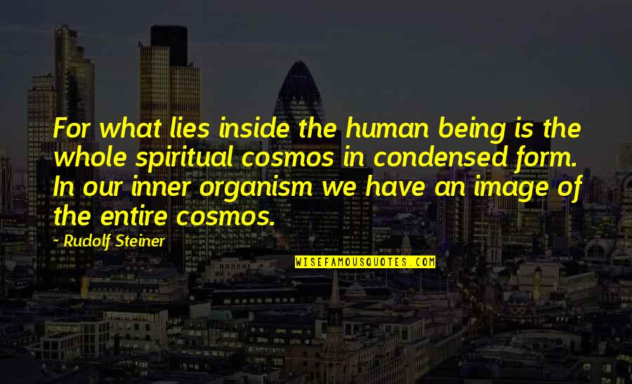 An Image Quotes By Rudolf Steiner: For what lies inside the human being is