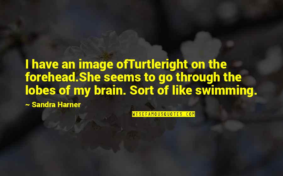 An Image Quotes By Sandra Harner: I have an image ofTurtleright on the forehead.She