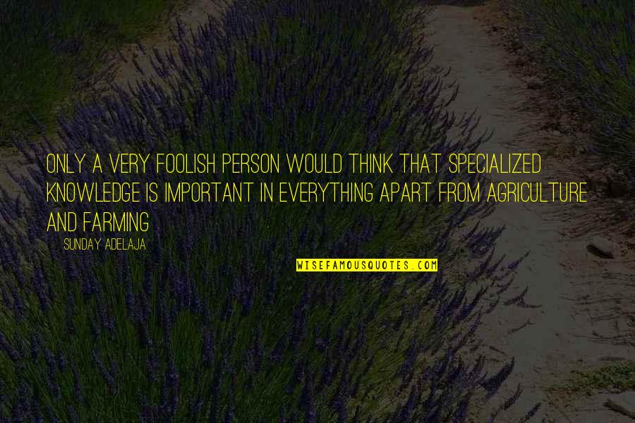 An Important Person In Our Life Quotes By Sunday Adelaja: Only a very foolish person would think that