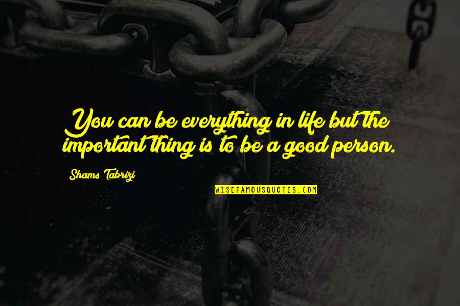 An Important Person In Your Life Quotes By Shams Tabrizi: You can be everything in life but the