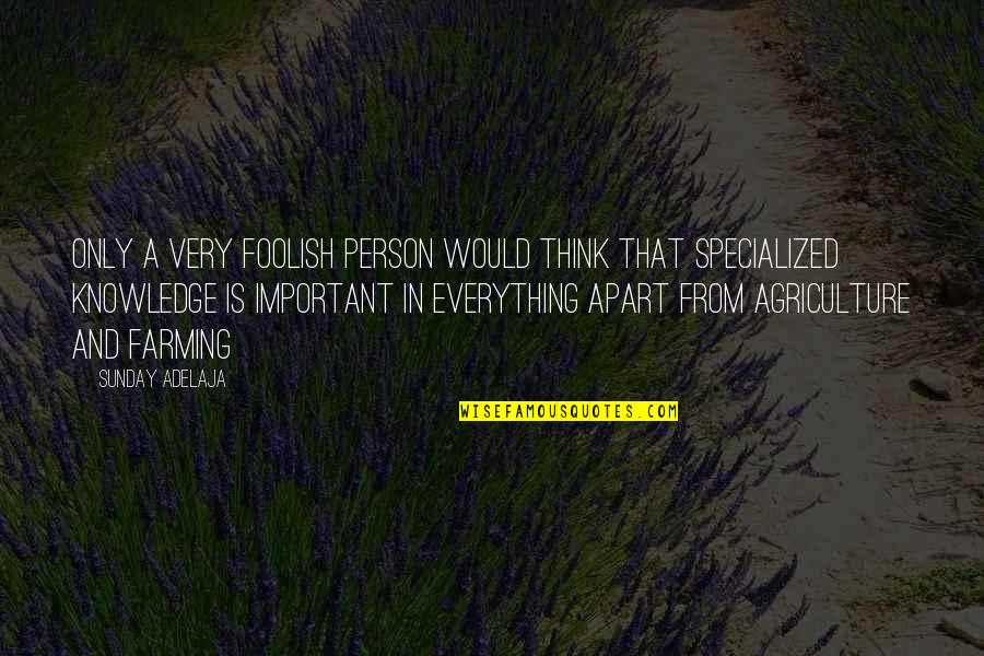 An Important Person In Your Life Quotes By Sunday Adelaja: Only a very foolish person would think that