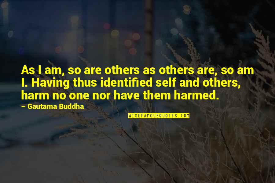 An Occupied Mind Quotes By Gautama Buddha: As I am, so are others as others