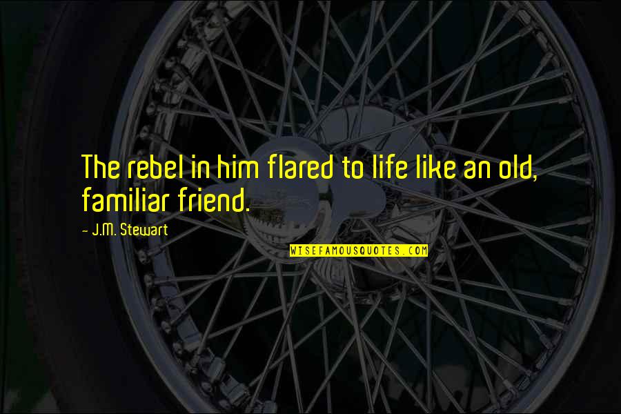 An Old Life Quotes By J.M. Stewart: The rebel in him flared to life like