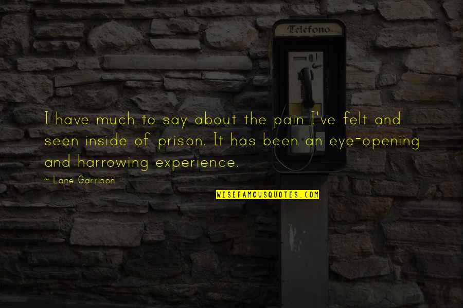 An Opening Quotes By Lane Garrison: I have much to say about the pain