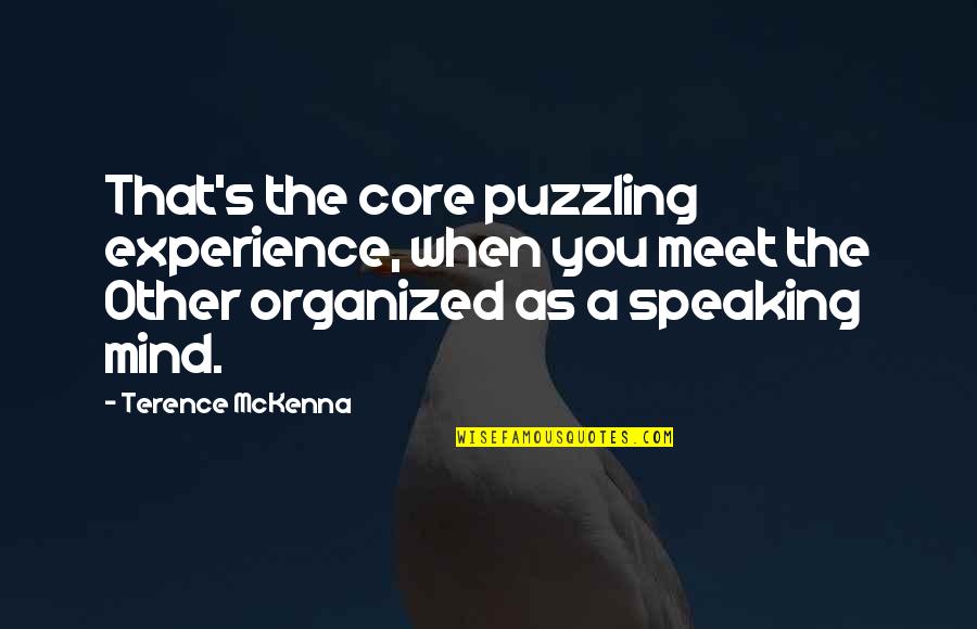 An Organized Mind Quotes By Terence McKenna: That's the core puzzling experience, when you meet An Organized Mind Quotes By Terence McKenna: That's the core puzzling experience, when you meet
