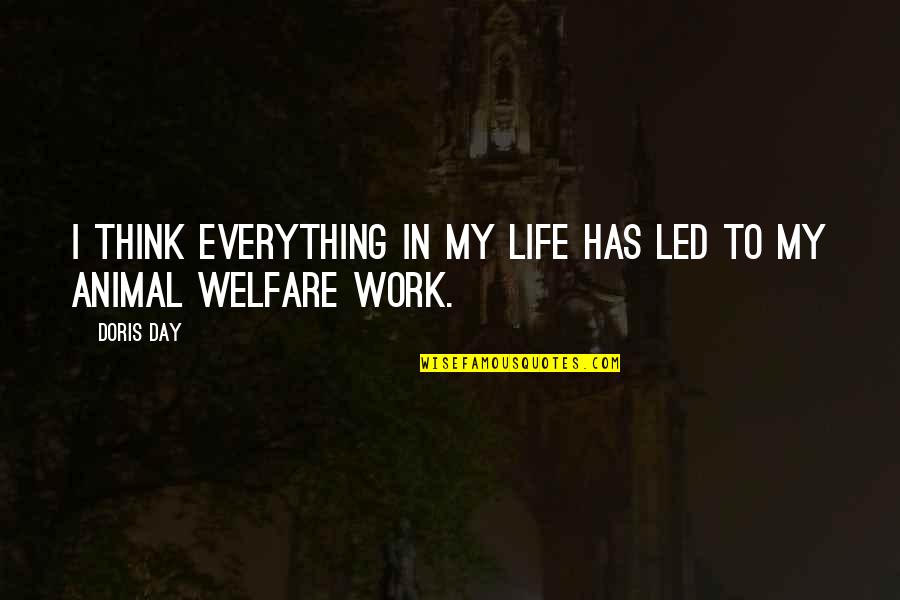 An Unexamined Life Is Not Worth Living Quotes By Doris Day: I think everything in my life has led