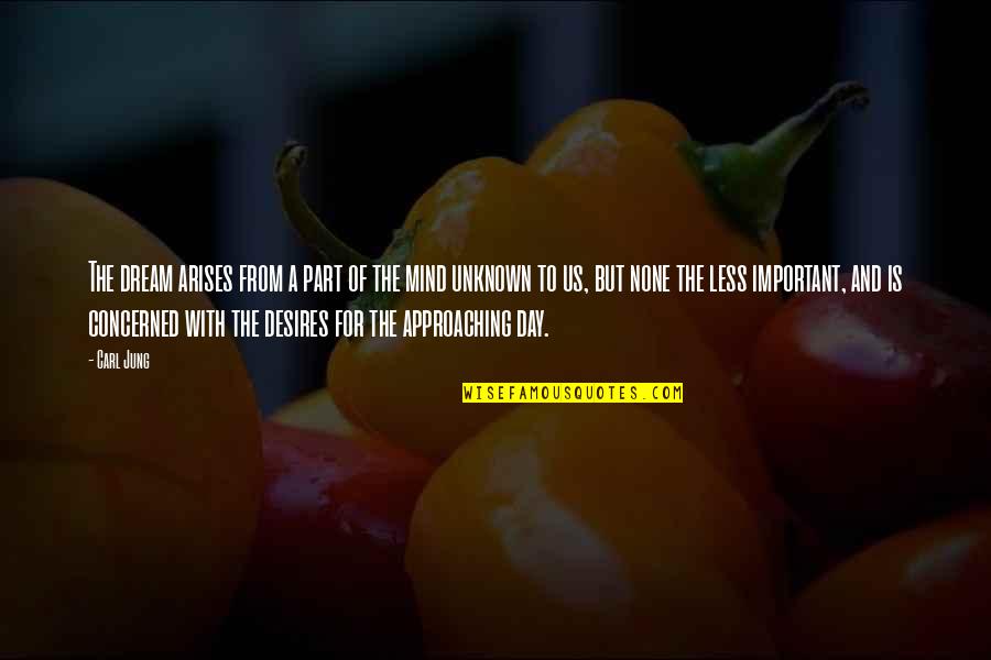 Ana And Christian Quotes By Carl Jung: The dream arises from a part of the