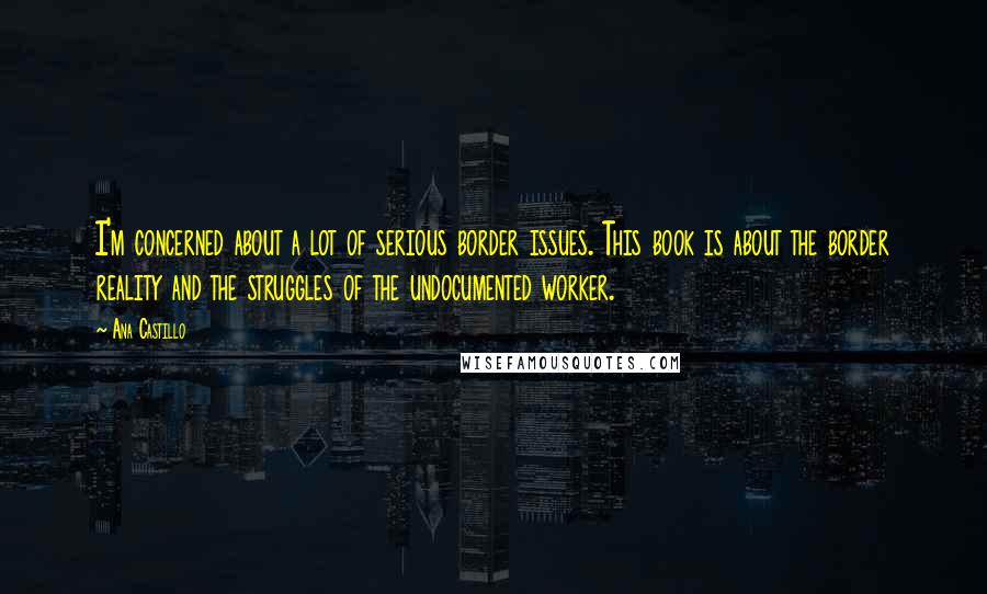 Ana Castillo quotes: I'm concerned about a lot of serious border issues. This book is about the border reality and the struggles of the undocumented worker.