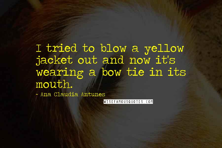 Ana Claudia Antunes quotes: I tried to blow a yellow jacket out and now it's wearing a bow tie in its mouth.